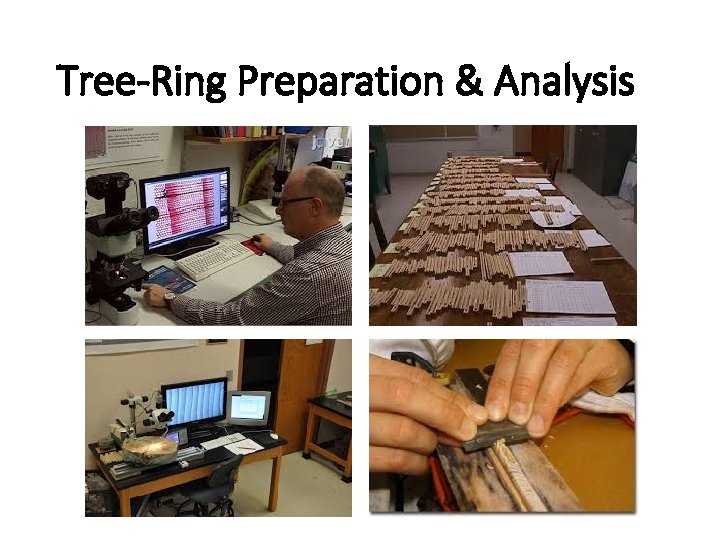 Tree-Ring Preparation & Analysis Tree-Ring Preparation & Analysis
