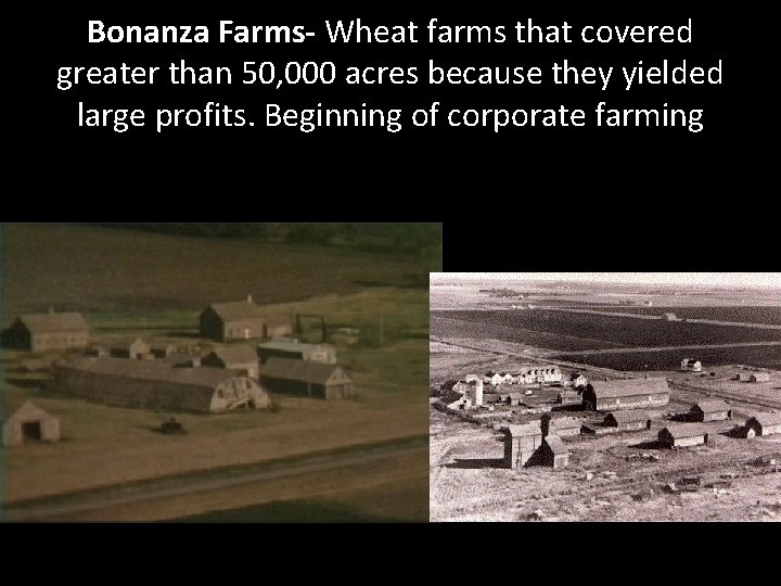 Bonanza Farms- Wheat farms that covered greater than 50, 000 acres because they yielded