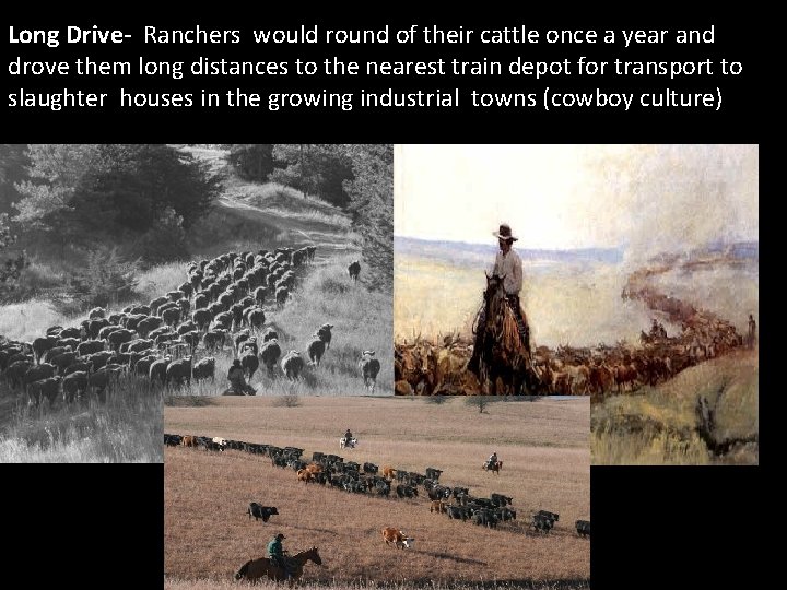 Long Drive- Ranchers would round of their cattle once a year and drove them