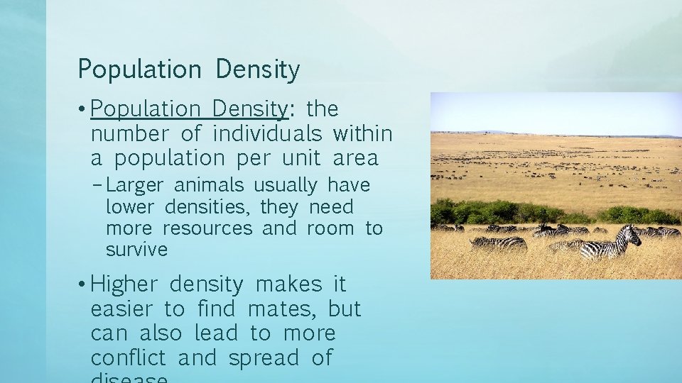 Population Density • Population Density: the number of individuals within a population per unit
