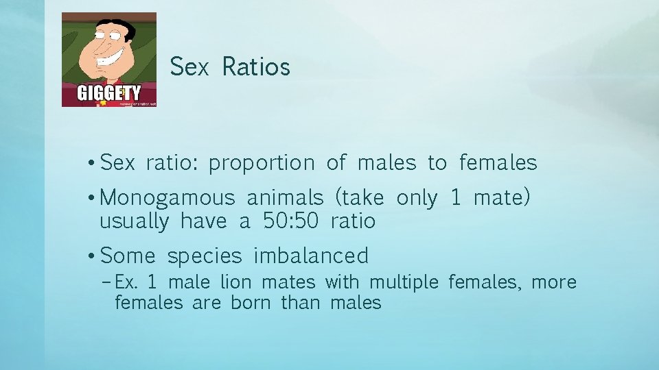 Sex Ratios • Sex ratio: proportion of males to females • Monogamous animals (take