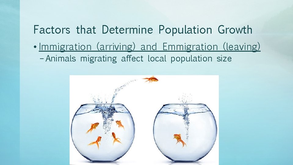 Factors that Determine Population Growth • Immigration (arriving) and Emmigration (leaving) – Animals migrating