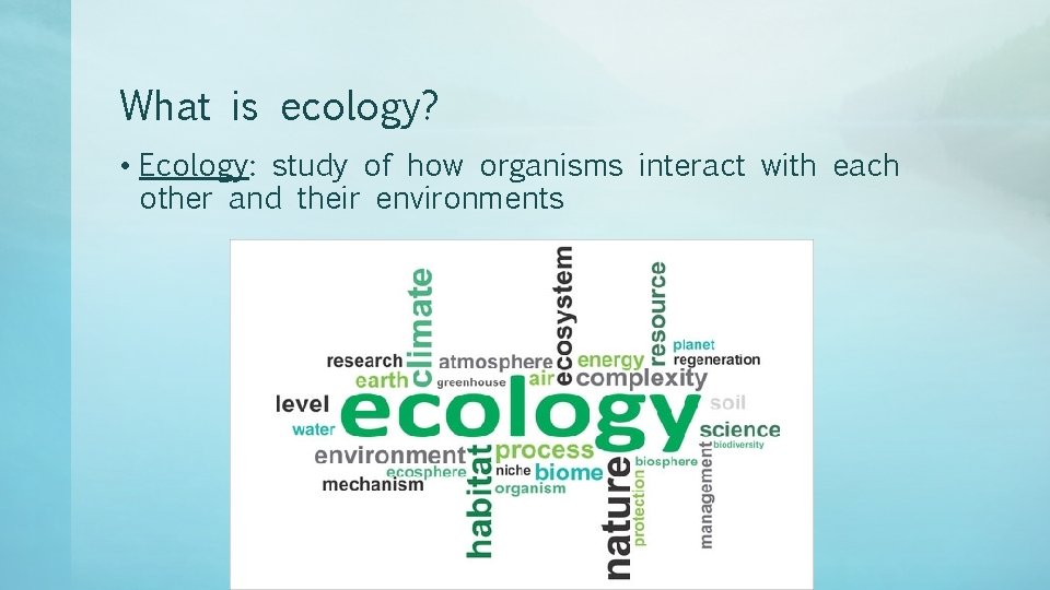 What is ecology? • Ecology: study of how organisms interact with each other and