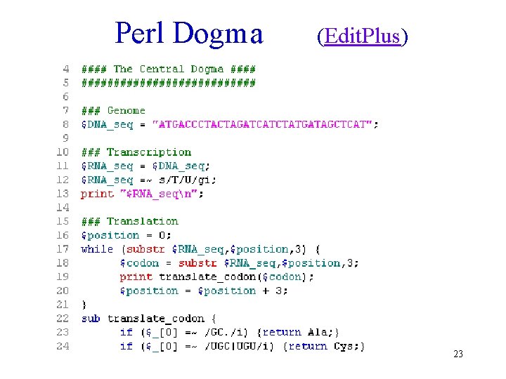 Perl Dogma (Edit. Plus) 23 