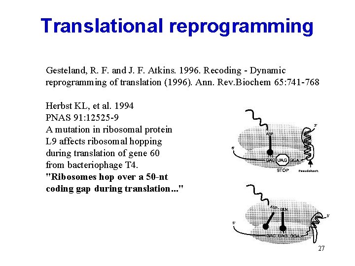 Translational reprogramming Gesteland, R. F. and J. F. Atkins. 1996. Recoding - Dynamic reprogramming