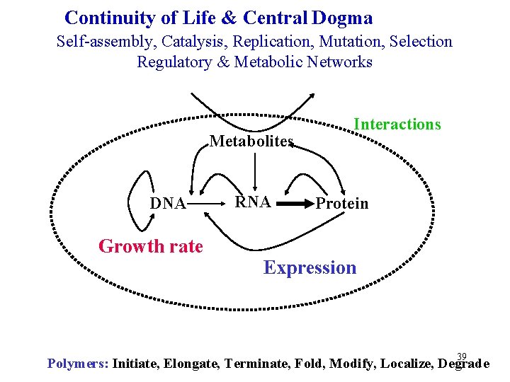 Continuity of Life & Central Dogma Self-assembly, Catalysis, Replication, Mutation, Selection Regulatory & Metabolic