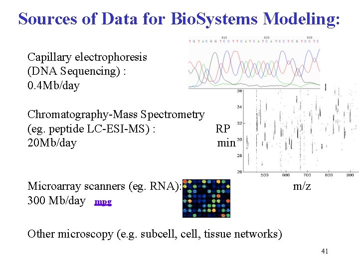 Sources of Data for Bio. Systems Modeling: Capillary electrophoresis (DNA Sequencing) : 0. 4