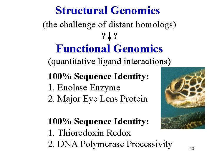 Structural Genomics (the challenge of distant homologs) ? ? Functional Genomics (quantitative ligand interactions)