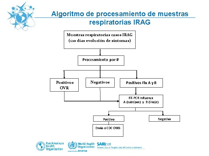 Algoritmo de procesamiento de muestras respiratorias IRAG Muestras respiratorias casos IRAG (≤ 10 días