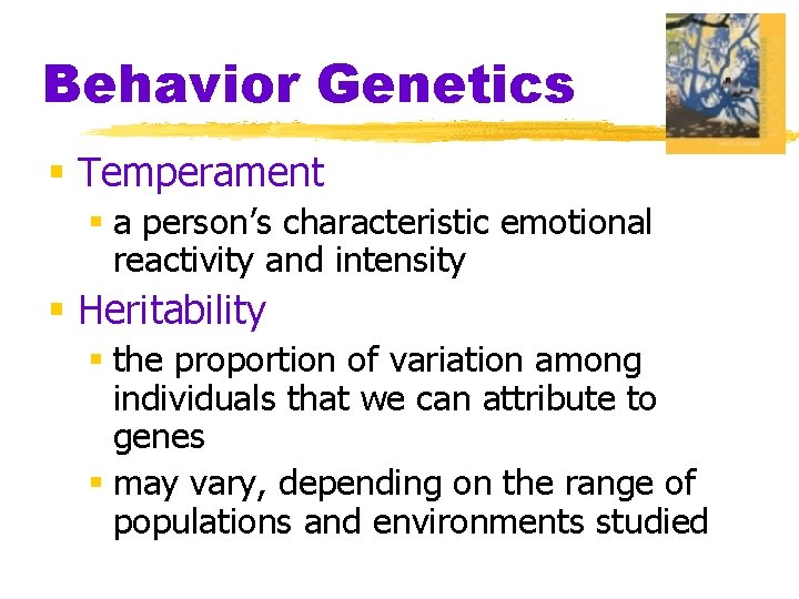 Behavior Genetics § Temperament § a person’s characteristic emotional reactivity and intensity § Heritability