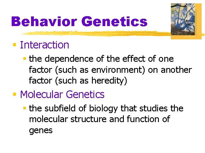 Behavior Genetics § Interaction § the dependence of the effect of one factor (such