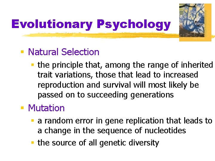 Evolutionary Psychology § Natural Selection § the principle that, among the range of inherited