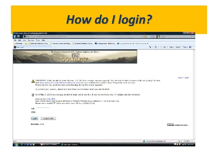 How do I login? What’s in Gold. Link? 