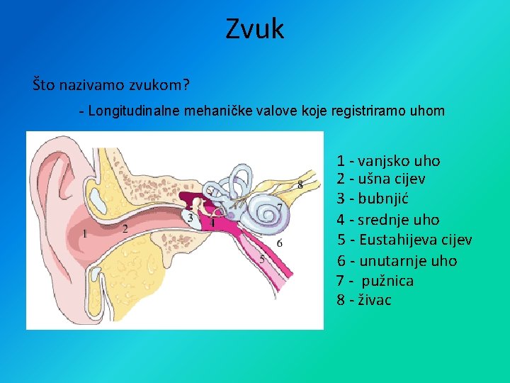 Zvuk Što nazivamo zvukom? - Longitudinalne mehaničke valove koje registriramo uhom 1 - vanjsko