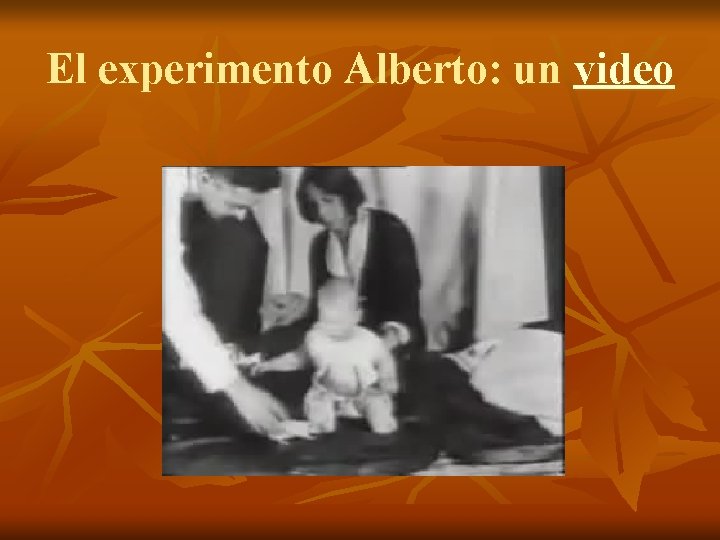 El experimento Alberto: un video 