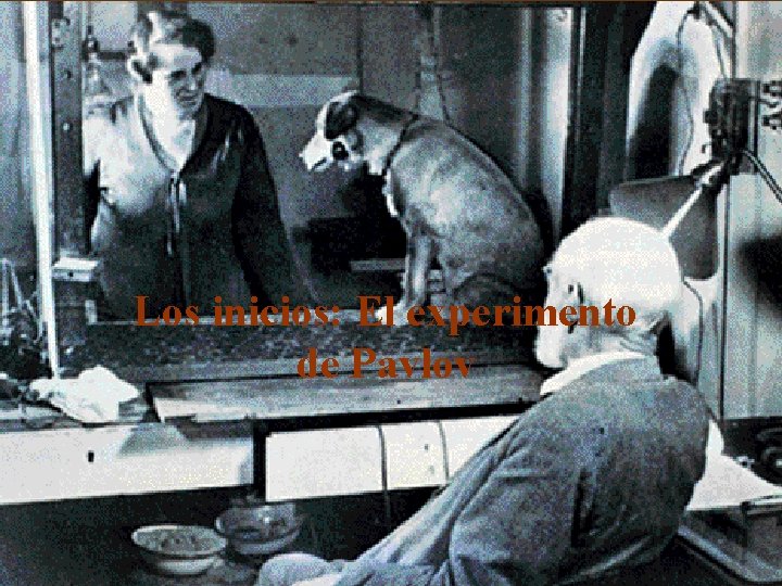 Los inicios: El experimento de Pavlov 