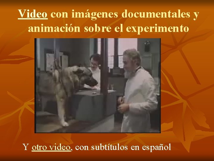 Video con imágenes documentales y animación sobre el experimento Y otro video, con subtítulos