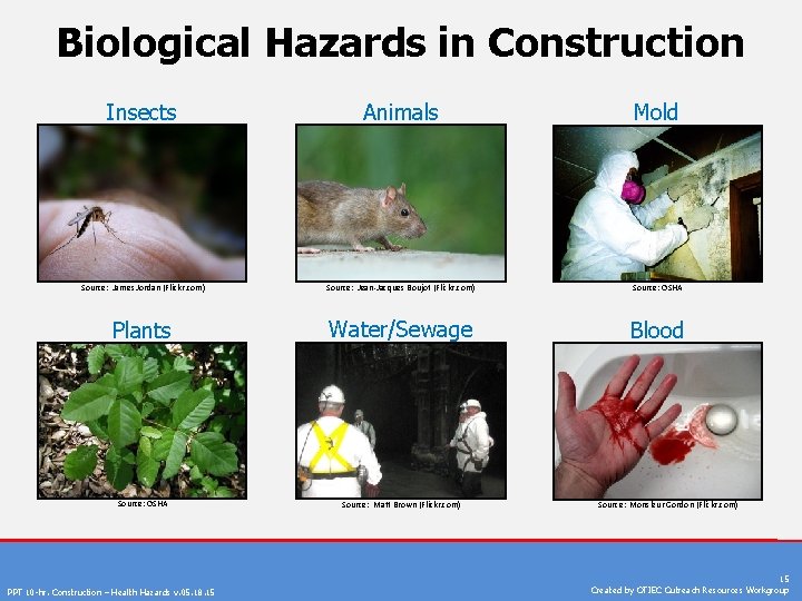 Biological Hazards in Construction Insects Animals Mold Source: James Jordan (Flickr. com) Source: Jean-Jacques