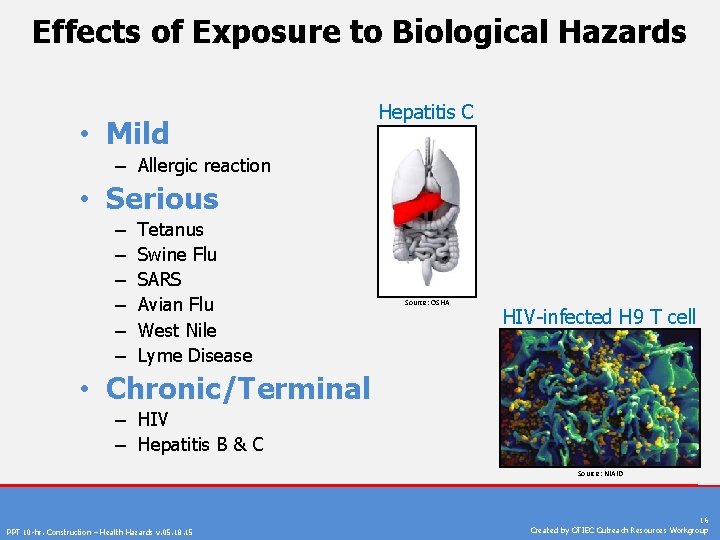 Effects of Exposure to Biological Hazards • Mild Hepatitis C – Allergic reaction •