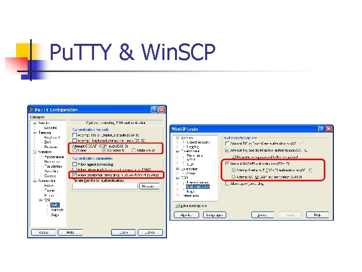 Pu. TTY & Win. SCP 