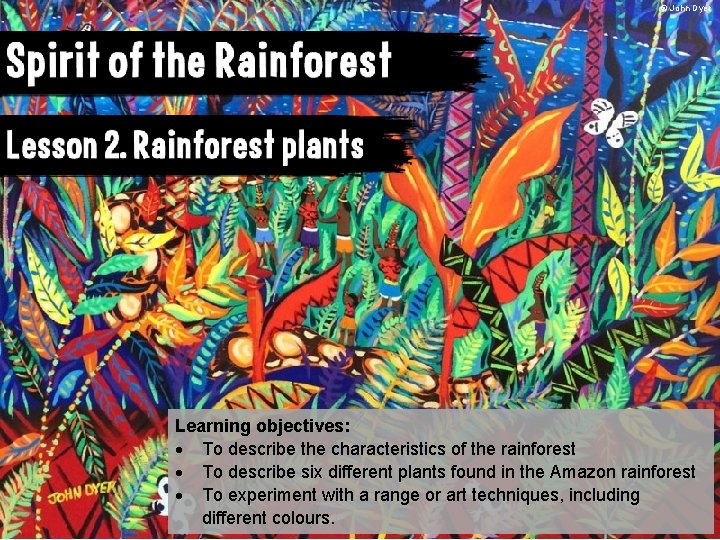 © John Dyer Learning objectives: To describe the characteristics of the rainforest To describe