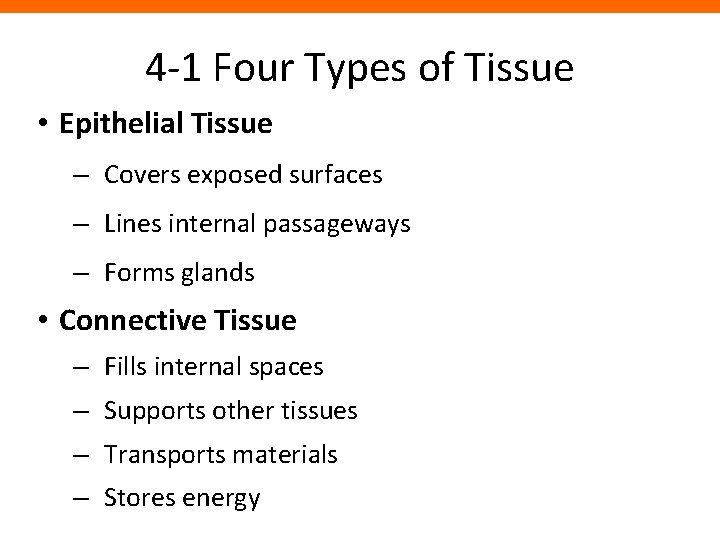 4 -1 Four Types of Tissue • Epithelial Tissue – Covers exposed surfaces –