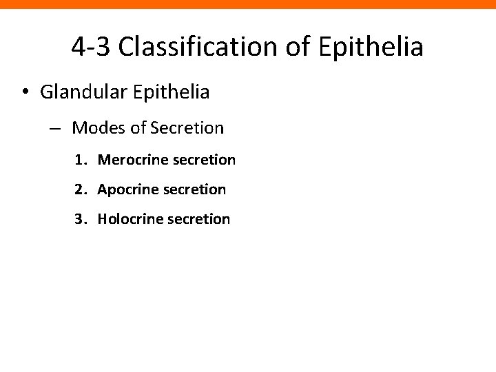 4 -3 Classification of Epithelia • Glandular Epithelia – Modes of Secretion 1. Merocrine
