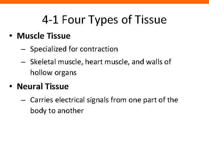 4 -1 Four Types of Tissue • Muscle Tissue – Specialized for contraction –