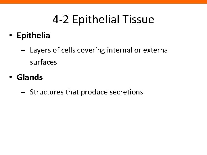 4 -2 Epithelial Tissue • Epithelia – Layers of cells covering internal or external
