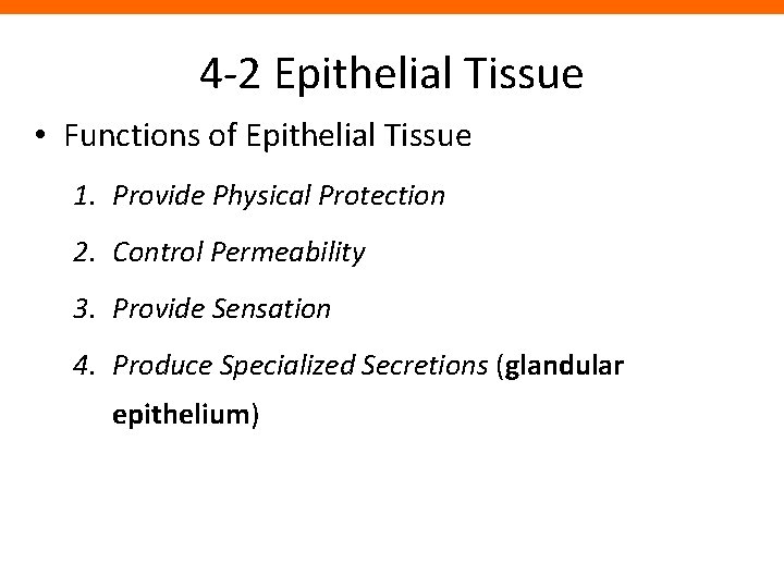 4 -2 Epithelial Tissue • Functions of Epithelial Tissue 1. Provide Physical Protection 2.