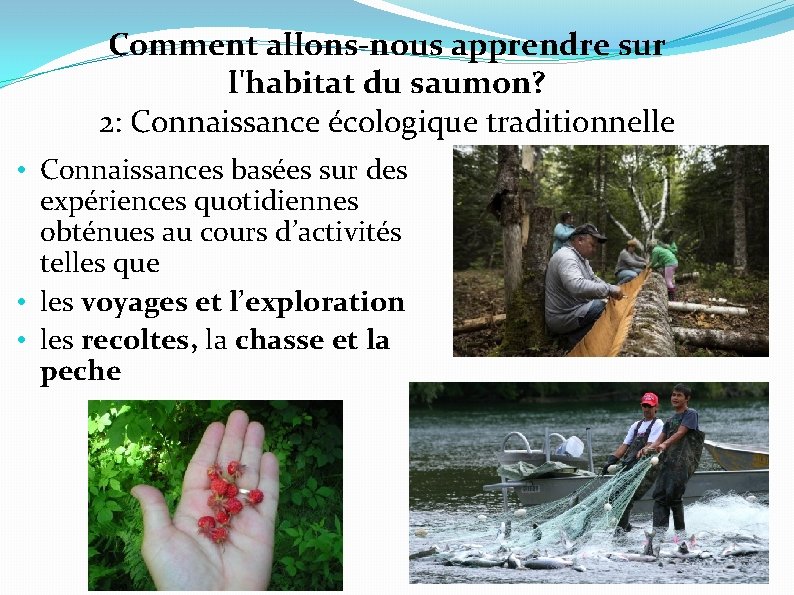 Comment allons-nous apprendre sur l'habitat du saumon? 2: Connaissance écologique traditionnelle • Connaissances basées