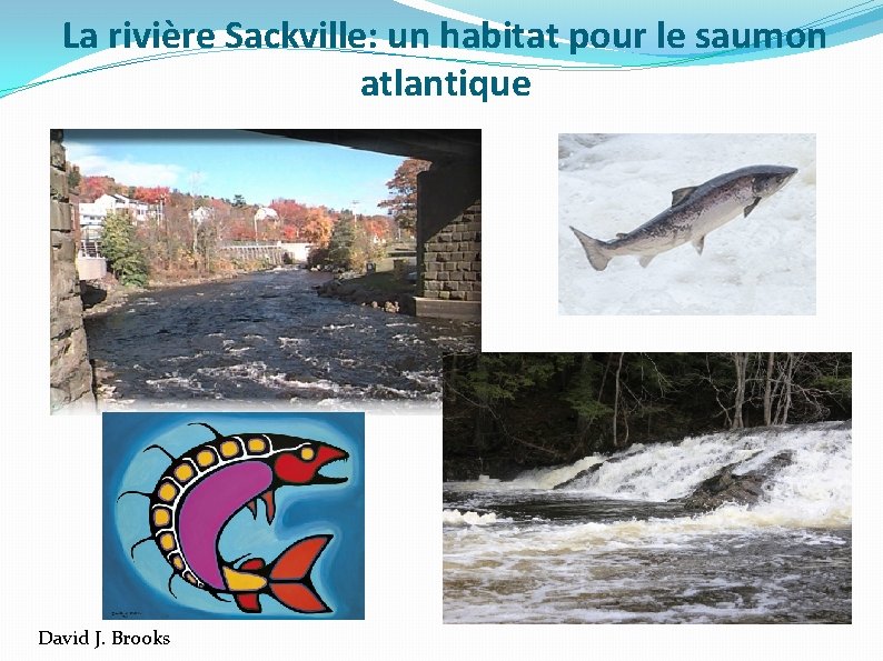 La rivière Sackville: un habitat pour le saumon atlantique David J. Brooks 