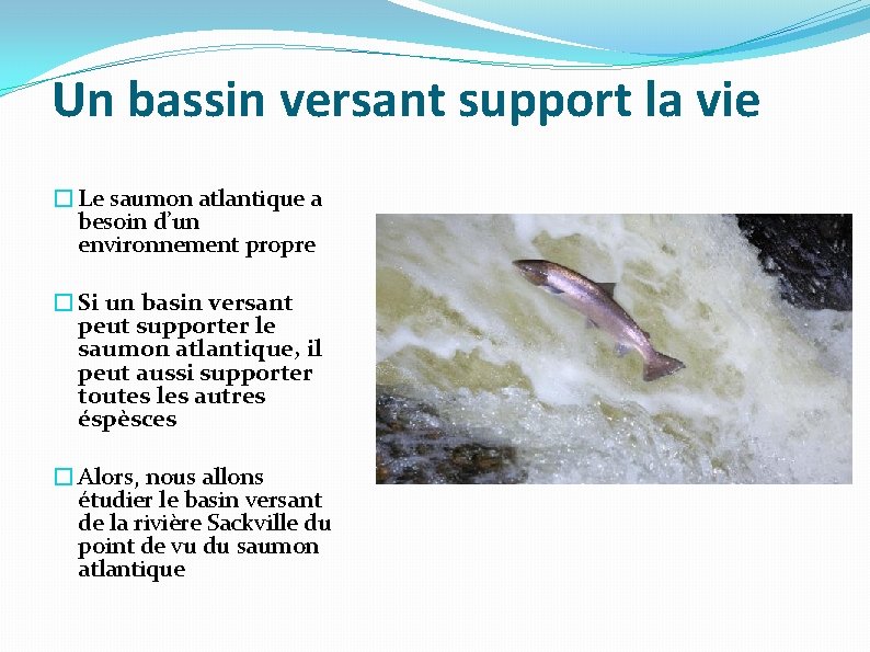 Un bassin versant support la vie � Le saumon atlantique a besoin d’un environnement