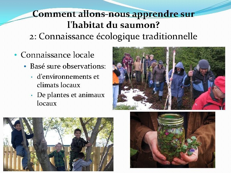 Comment allons-nous apprendre sur l'habitat du saumon? 2: Connaissance écologique traditionnelle • Connaissance locale