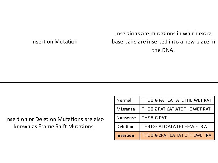 Insertion Mutation Insertion or Deletion Mutations are also known as Frame Shift Mutations. Insertions