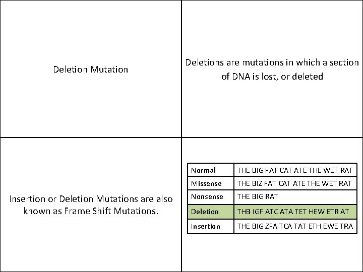 Deletion Mutation Insertion or Deletion Mutations are also known as Frame Shift Mutations. Deletions