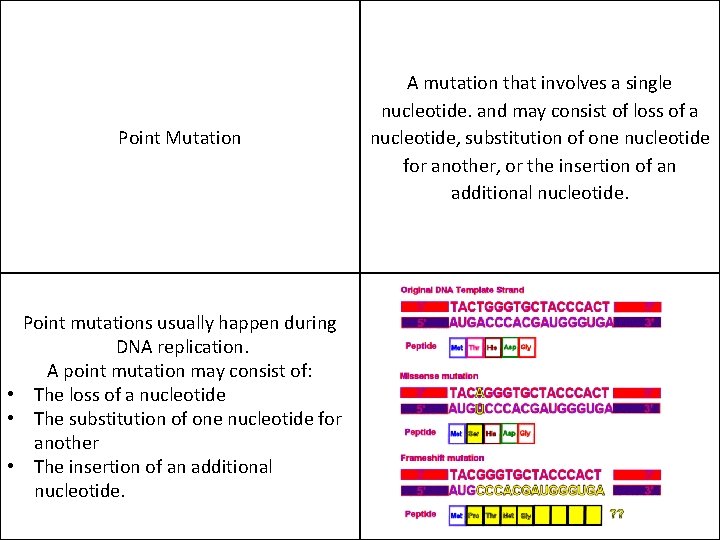 Point Mutation Point mutations usually happen during DNA replication. A point mutation may consist