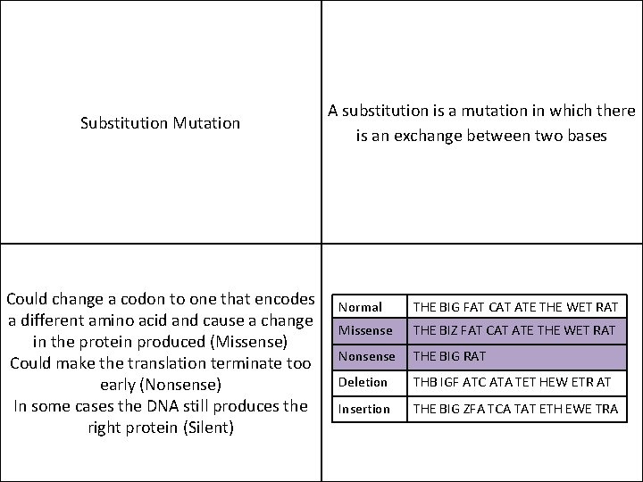 Substitution Mutation Could change a codon to one that encodes a different amino acid