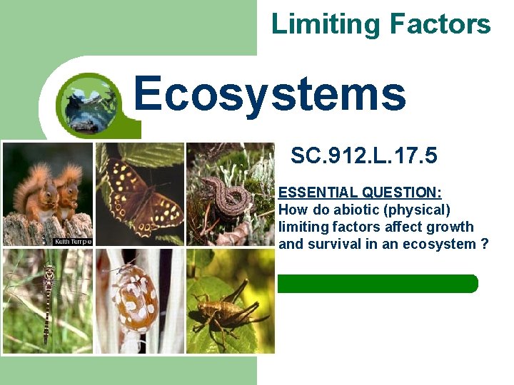 Limiting Factors Ecosystems SC. 912. L. 17. 5 ESSENTIAL QUESTION: How do abiotic (physical)
