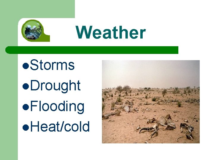 Weather l. Storms l. Drought l. Flooding l. Heat/cold 