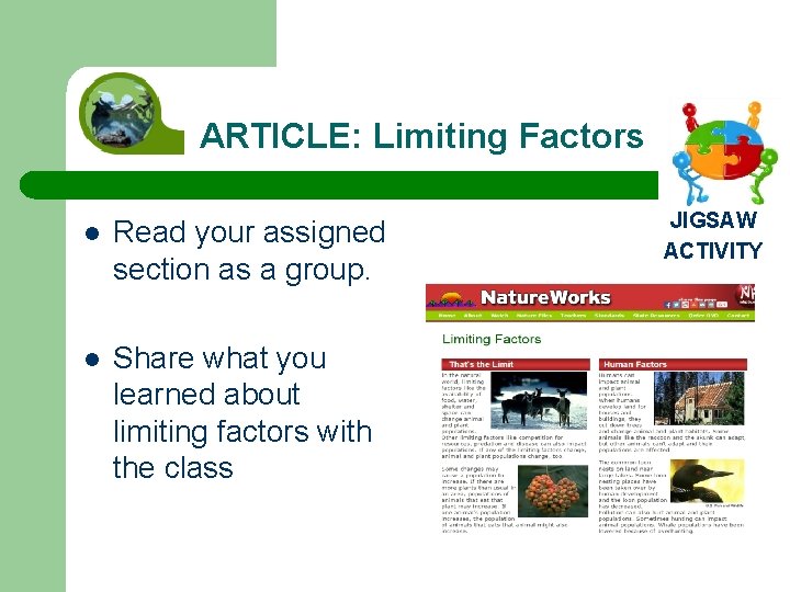 ARTICLE: Limiting Factors l Read your assigned section as a group. l Share what