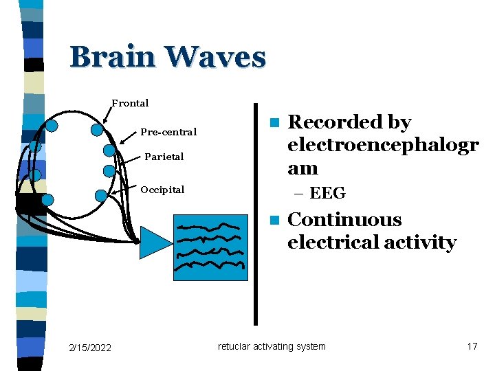 Brain Waves Frontal Pre-central n Parietal – EEG Occipital n 2/15/2022 Recorded by electroencephalogr Brain Waves Frontal Pre-central n Parietal – EEG Occipital n 2/15/2022 Recorded by electroencephalogr