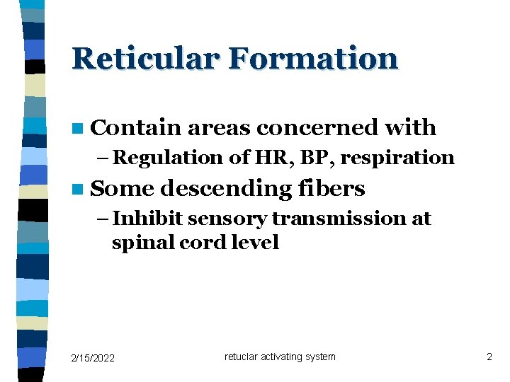 Reticular Formation n Contain areas concerned with – Regulation of HR, BP, respiration n