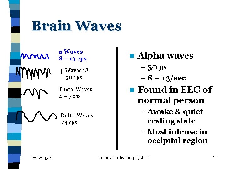 Brain Waves 8 – 13 cps n – 50 v – 8 – 13/sec