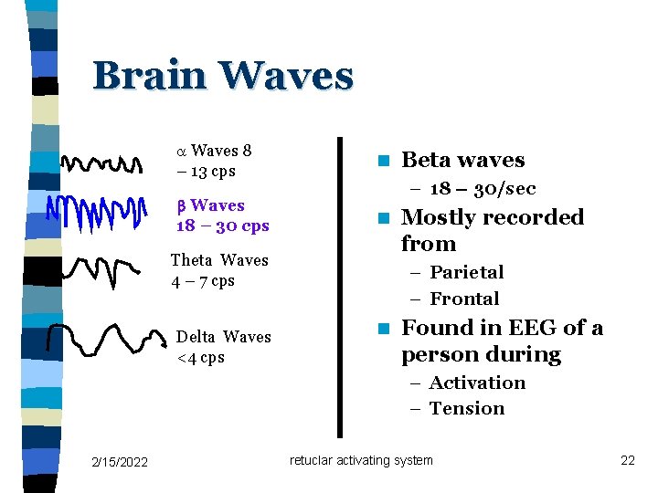 Brain Waves 8 – 13 cps n Waves 18 – 30 cps n – Brain Waves 8 – 13 cps n Waves 18 – 30 cps n –
