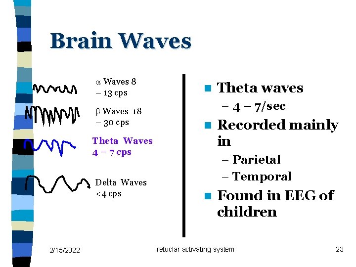 Brain Waves 8 – 13 cps Waves 18 – 30 cps n – 4