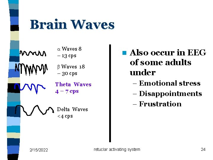 Brain Waves 8 – 13 cps Waves 18 – 30 cps Theta Waves 4