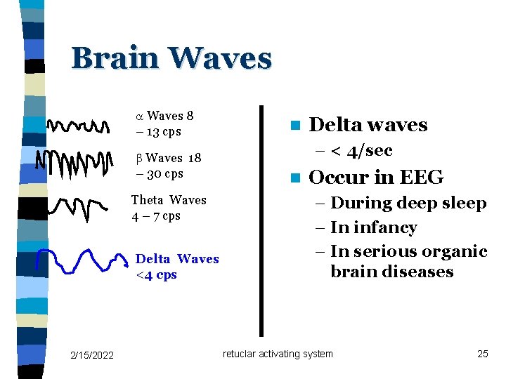 Brain Waves 8 – 13 cps Waves 18 – 30 cps Theta Waves 4