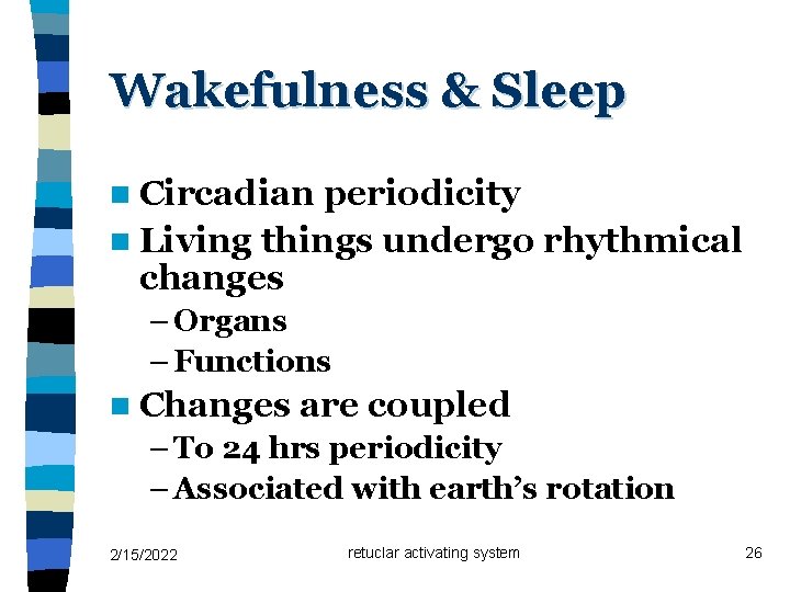 Wakefulness & Sleep n Circadian periodicity n Living things undergo rhythmical changes – Organs