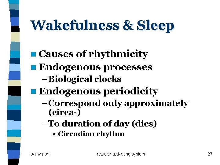 Wakefulness & Sleep n Causes of rhythmicity n Endogenous processes – Biological clocks n